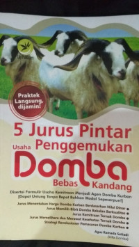 5 Jurus Pintar Usaha Penggemuka Domba