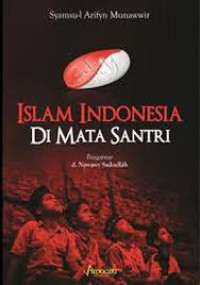 Islam indonesia di mata santri